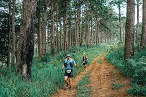 BIB: 
                            <button type="button" onclick="openModal(25742053)" class="btn btn-primary btn-sm float-right btn-popup" data-toggle="modal" data-target=".modal-high-quality">
                        <i class="fas fa-shopping-cart"></i> Add to Cart
                    </button>
                                            <button type="button" onclick="isThisMe(25742053, true)" class="btn btn-success btn-sm float-right btn-popup btn-isme hidden" data-toggle="tooltip" data-placement="bottom" title="นี่คือรูปของคุณใช่ไหม คลิกที่นี่เพื่อเอาเข้าอัลบั้ม">
                        <i class="fas fa-plus"></i> Add to album
                    </button>
                    <button type="button" onclick="isThisMe(25742053, false)" class="btn btn-warning btn-sm float-right btn-popup btn-isnotme hidden">
                        <i class="fas fa-ban"></i> Remove from album
                    </button>